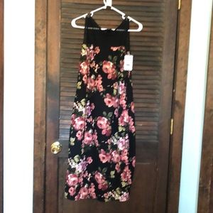 Piphany queens dress